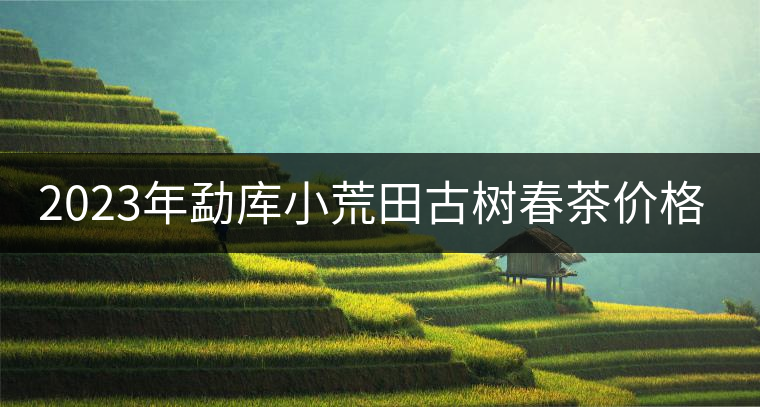 2023年勐庫小荒田古樹春茶價格是多少？