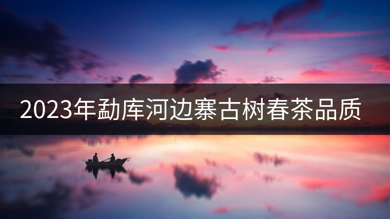 2023年勐庫(kù)河邊寨古樹(shù)春茶品質(zhì)如何？