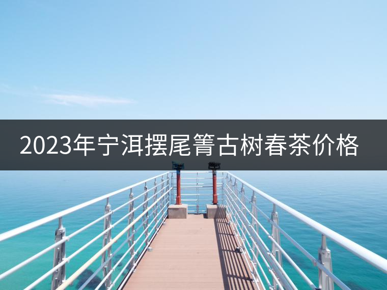 2023年寧洱擺尾箐古樹春茶價(jià)格是多少？