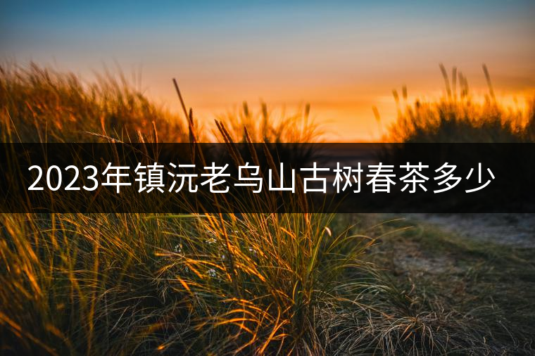 2023年鎮(zhèn)沅老烏山古樹春茶多少一公斤？
