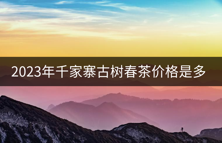 2023年千家寨古樹春茶價格是多少？