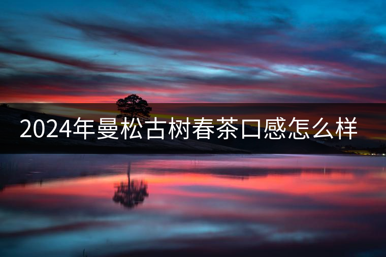 2024年曼松古樹(shù)春茶口感怎么樣？
