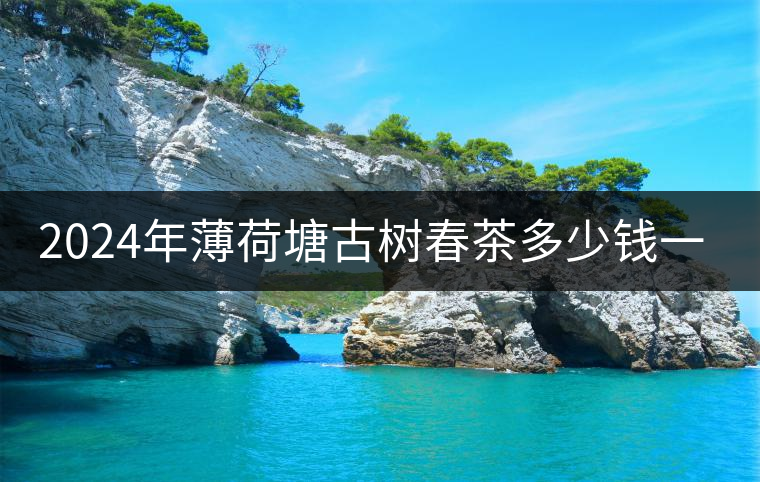 2024年薄荷塘古樹春茶多少錢一公斤？