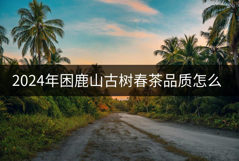 2024年困鹿山古樹(shù)春茶品質(zhì)怎么樣？