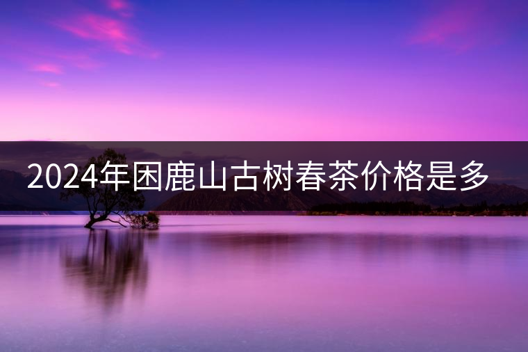 2024年困鹿山古樹春茶價(jià)格是多少？