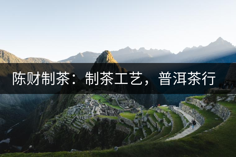 陳財制茶：制茶工藝，普洱茶行業(yè)的生死線