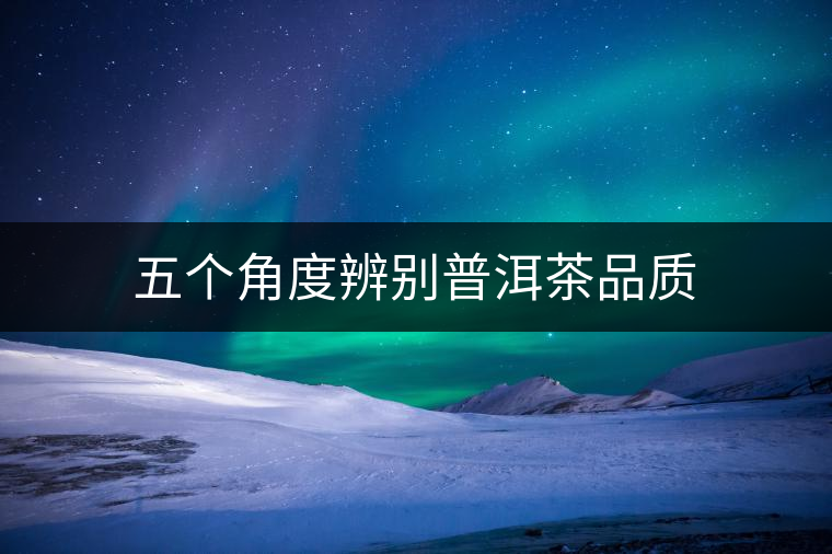 五個角度辨別普洱茶品質(zhì)