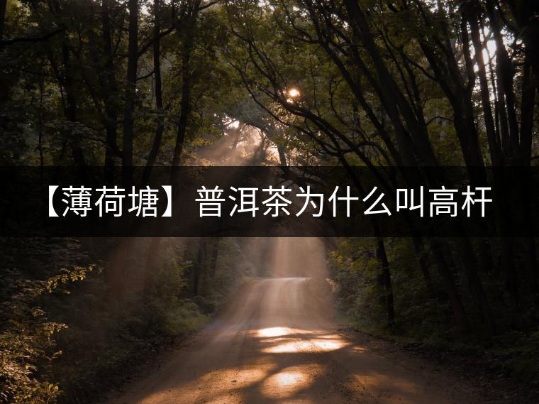 【薄荷塘】普洱茶為什么叫高桿茶？