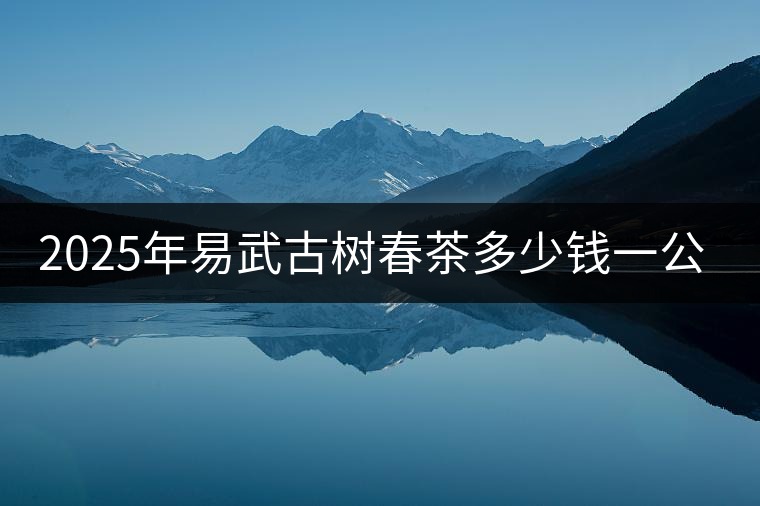 2025年易武古樹(shù)春茶多少錢(qián)一公斤？
