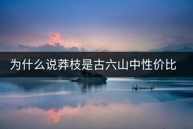 為什么說莽枝是古六山中性價(jià)比最高的? 為什么說莽枝是古六山中性價(jià)比最高的?