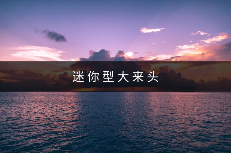 迷 你 型 大 來 頭
