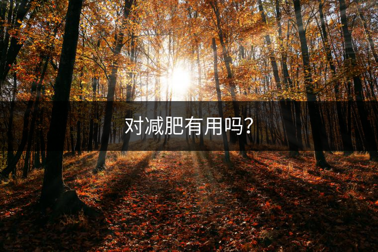 對減肥有用嗎？
