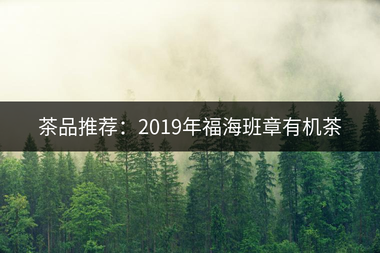 茶品推薦：2019年福海班章有機(jī)茶