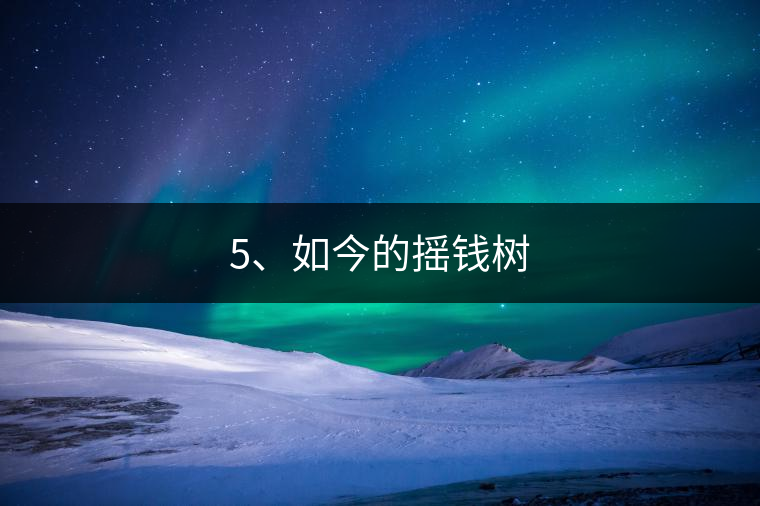 5、如今的搖錢樹