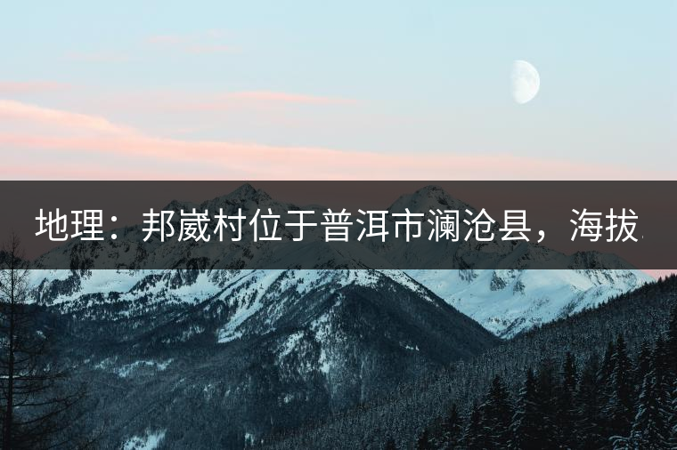 地理：邦崴村位于普洱市瀾滄縣，海拔1800-2000多米，這里的古樹茶被原始森林環(huán)抱，遠離塵囂污染，沒有農(nóng)藥化肥。