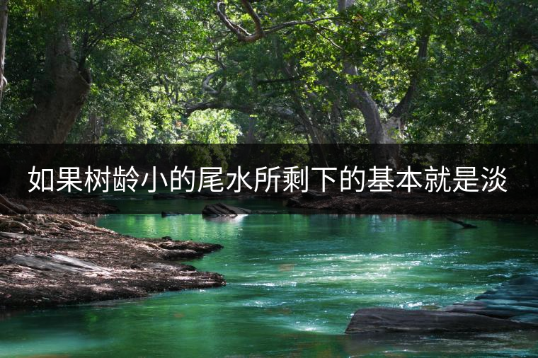 如果樹齡小的尾水所剩下的基本就是淡，苦，澀，而樹齡大的尾水融合度高，內(nèi)含物質(zhì)豐富，而且蜜甜度湯稠度也比較好。