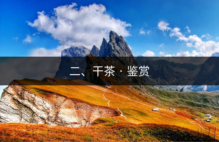 二、干茶 · 鑒賞