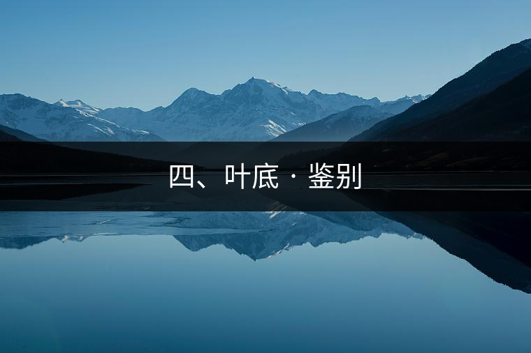四、葉底 · 鑒別