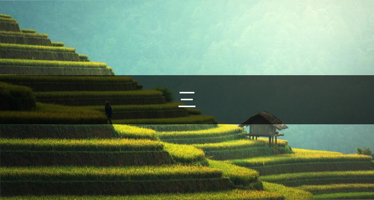三