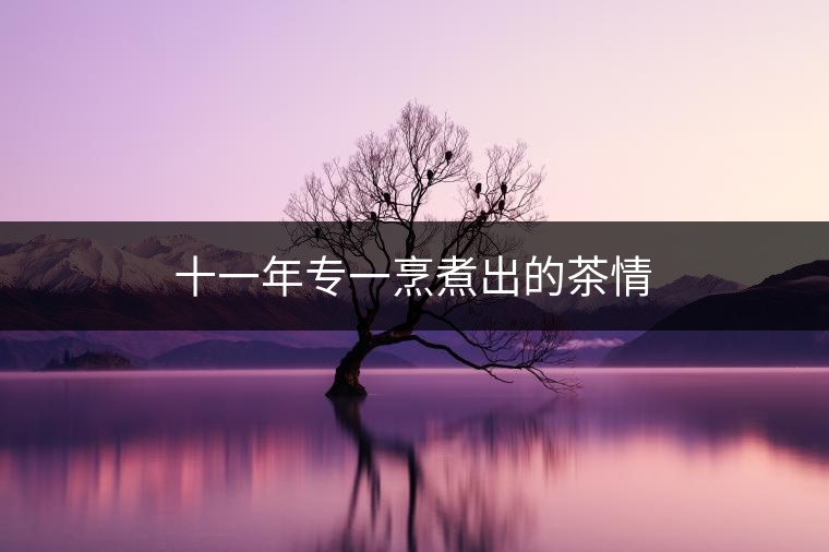 十一年專一烹煮出的茶情