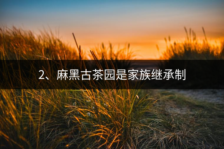 2、麻黑古茶園是家族繼承制