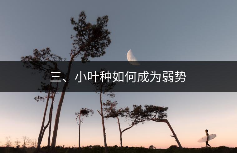 三、小葉種如何成為弱勢