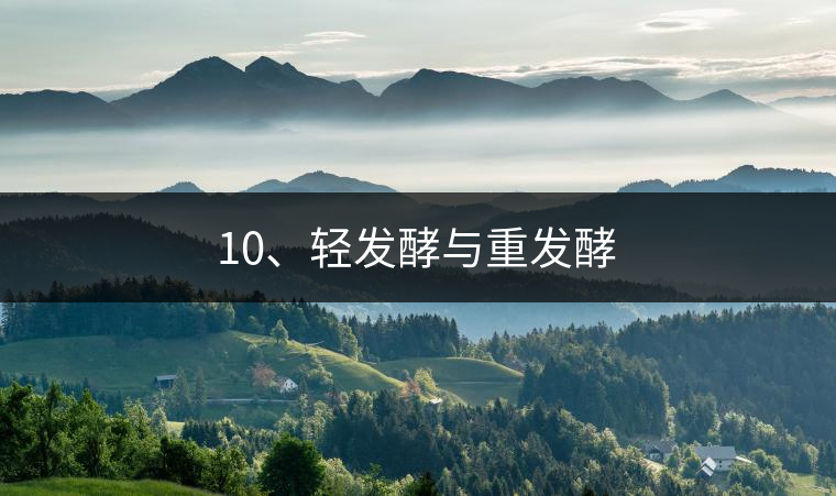 10、輕發(fā)酵與重發(fā)酵