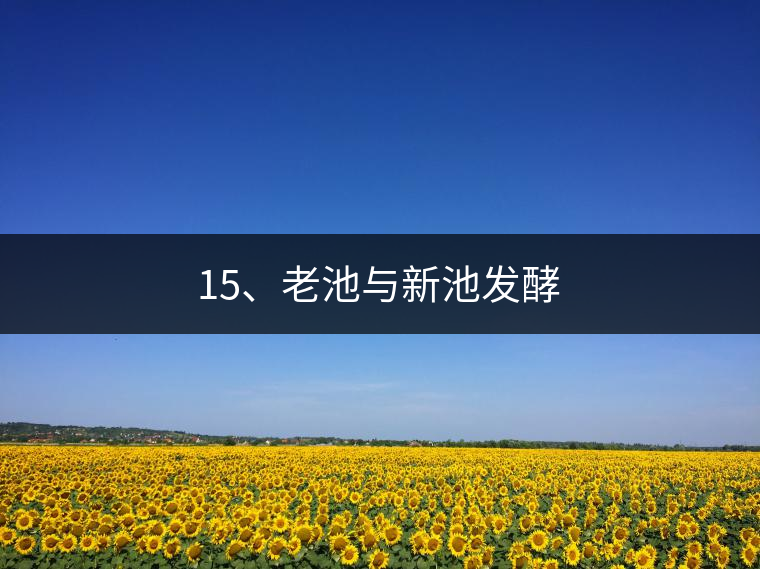15、老池與新池發(fā)酵