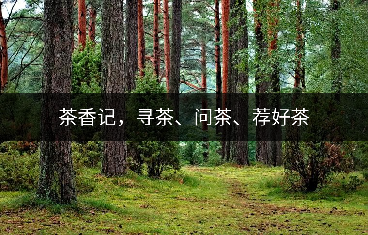 茶香記，尋茶、問(wèn)茶、薦好茶