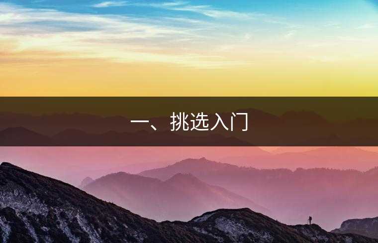 一、挑選入門(mén)