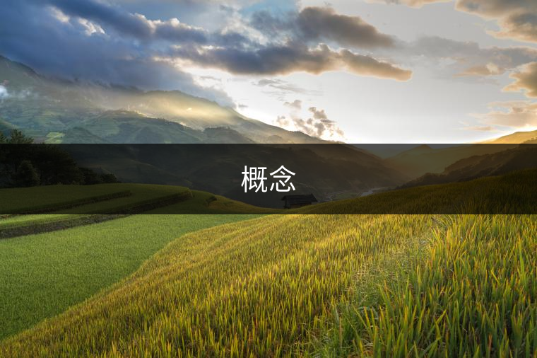 概念