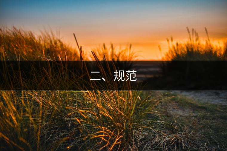 二、規(guī)范