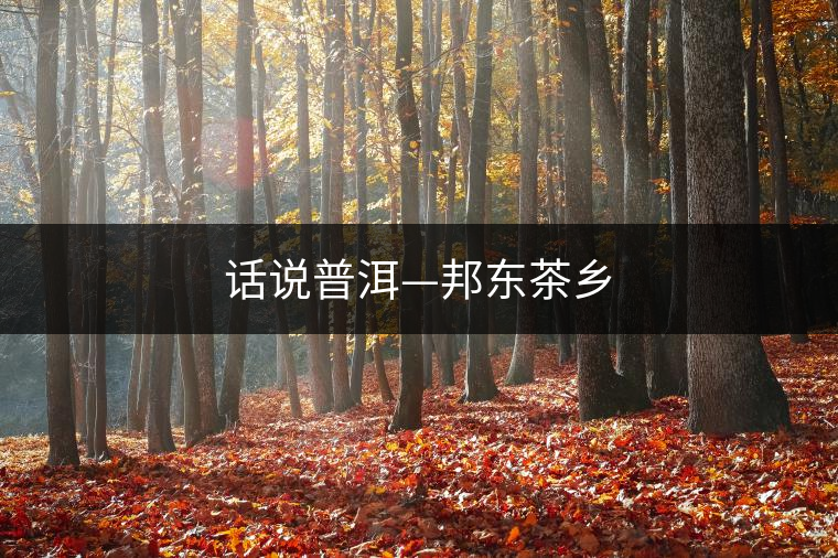 話說(shuō)普洱—邦東茶鄉(xiāng)