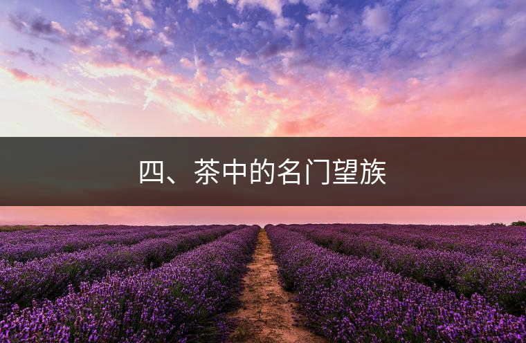 四、茶中的名門望族