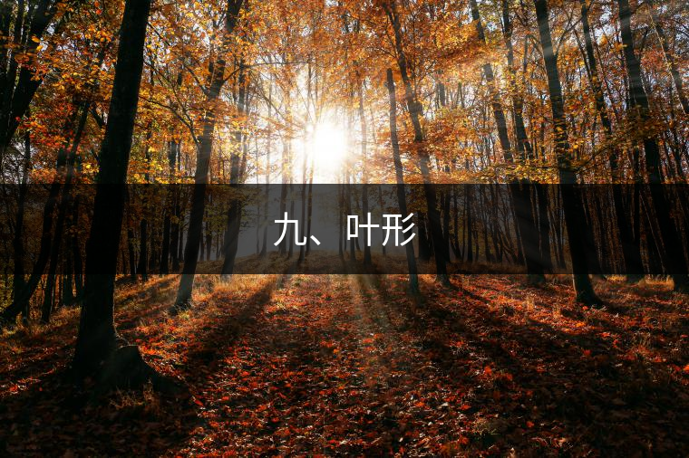 九、葉形