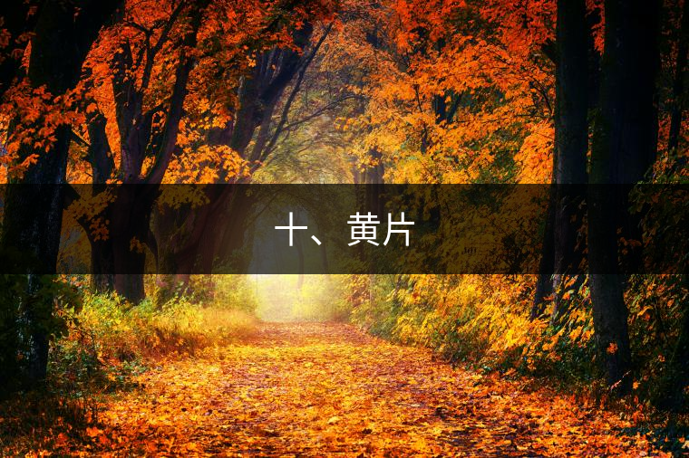 十、黃片
