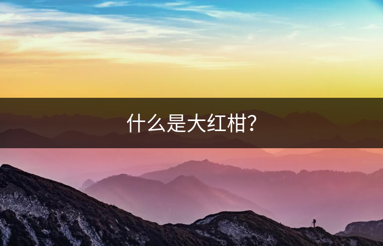什么是大紅柑？