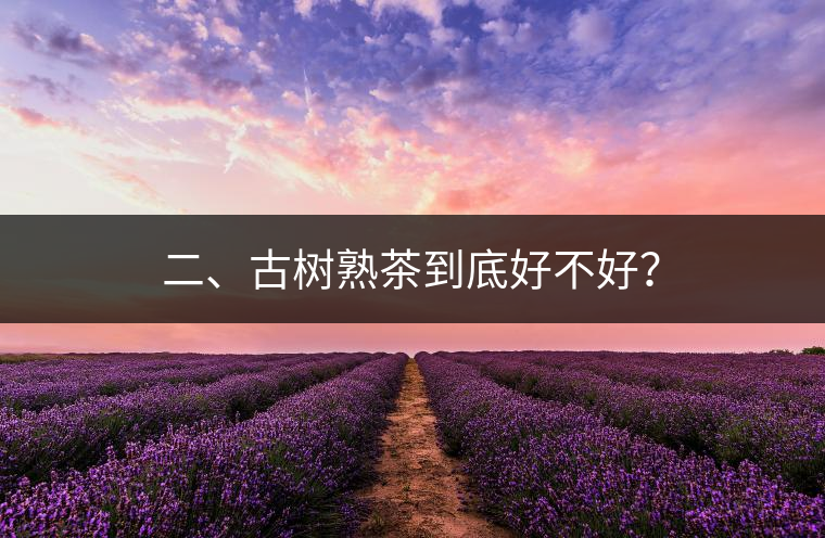 二、古樹熟茶到底好不好？