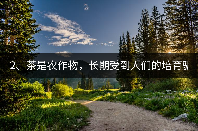 2、茶是農(nóng)作物，長(zhǎng)期受到人們的培育馴化。