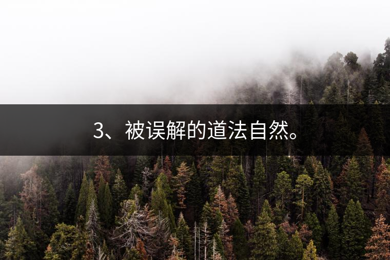 3、被誤解的道法自然。