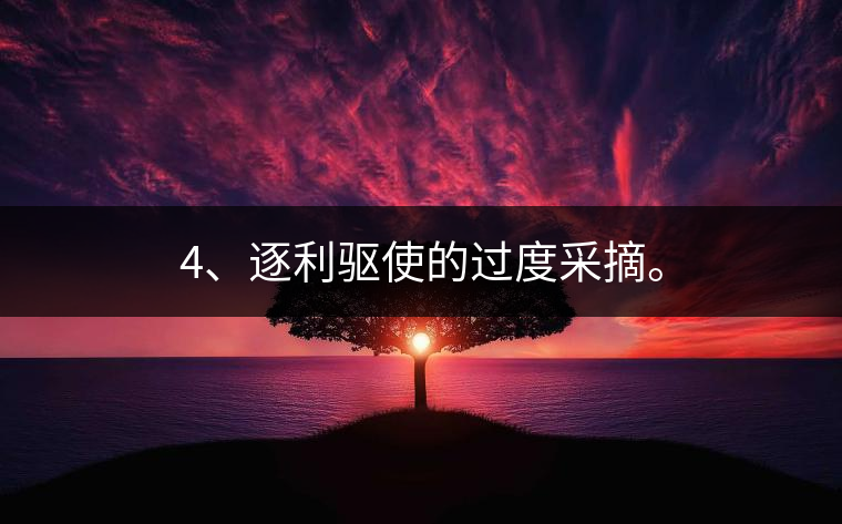4、逐利驅(qū)使的過度采摘。