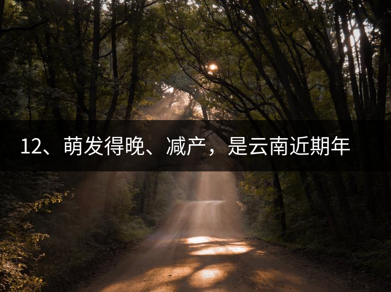 12、萌發(fā)得晚、減產(chǎn)，是云南近期年氣候變化在茶樹上的延遲反映。