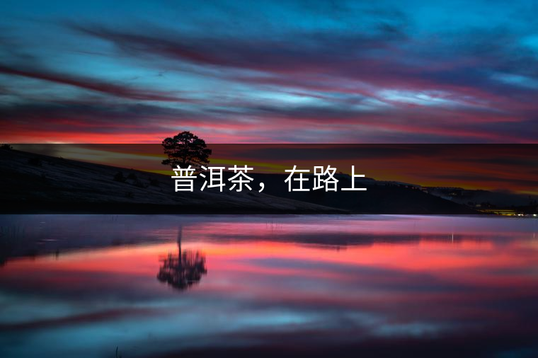 普洱茶，在路上