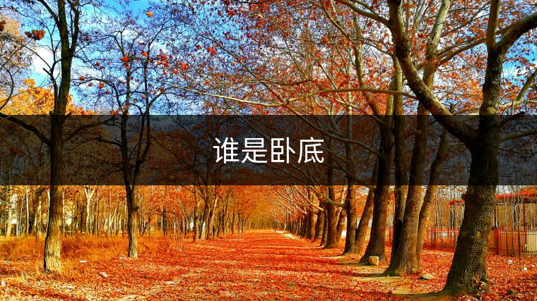 誰是臥底