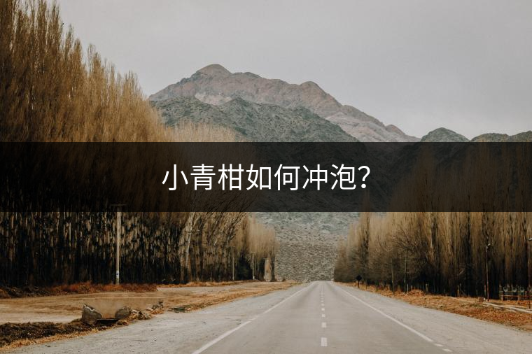 小青柑如何沖泡？