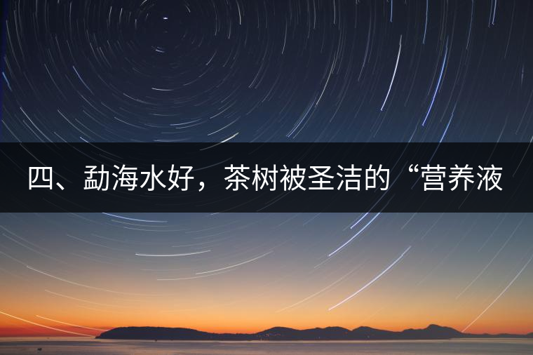 四、勐海水好，茶樹被圣潔的“營養(yǎng)液”所滋養(yǎng)