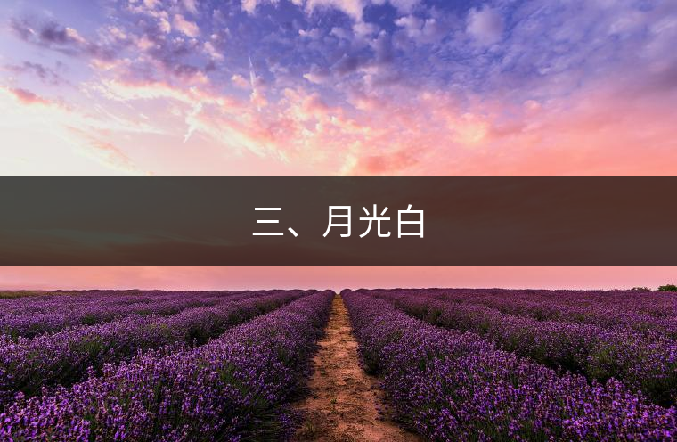 三、月光白