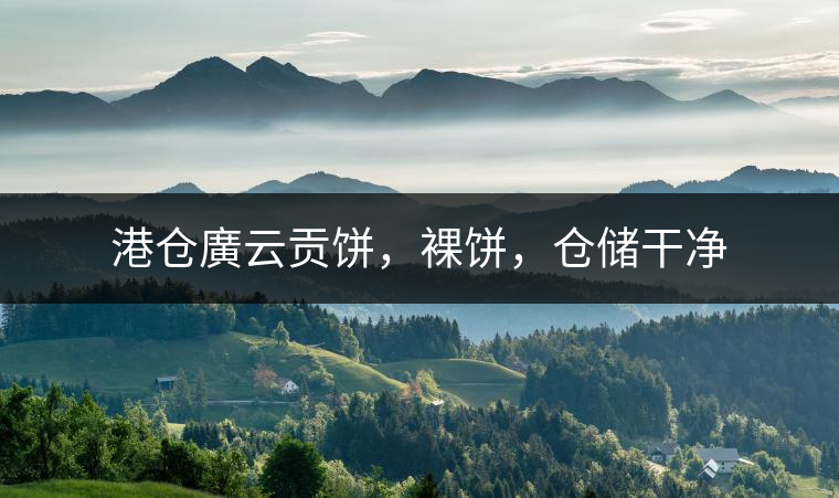 港倉廣云貢餅，裸餅，倉儲(chǔ)干凈