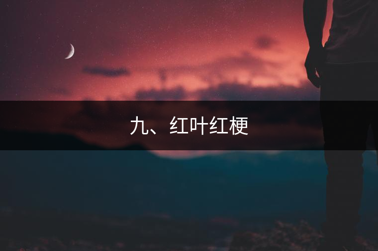 九、紅葉紅梗