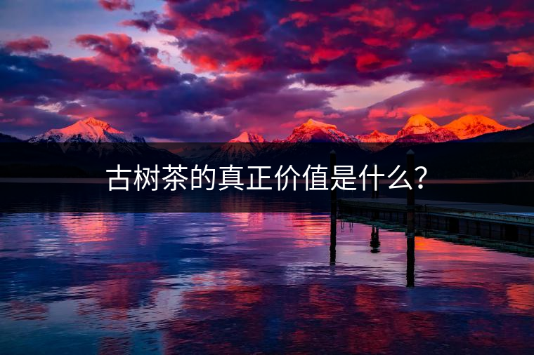 古樹(shù)茶的真正價(jià)值是什么？